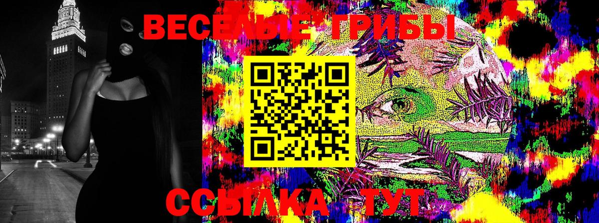 сколько стоит  Галлюциногенные грибы MAGIC MUSHROOMS  Вход с VPN  Галлюциногенные грибы прущие грибы  Зерноград 